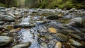 Clear stream flows over smooth rounded stones and rocks in a Royalty Free Stock Photo