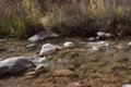 Clear Stream near Highway 141 in Western Colorado Royalty Free Stock Photo