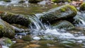 Clear stream water flows over moss covered stones creating small Royalty Free Stock Photo