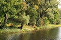 Clear sunny day and calm surface of Lake Birini with deciduous trees on the green shore Royalty Free Stock Photo