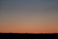 Clear sunrise or sunset sky with a smooth gradient of colors. Dark silhouettes of the forest