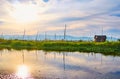 Sunset sky over the water farm, Inle Lake, Myanmar Royalty Free Stock Photo