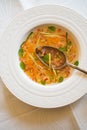 Clear tomato soup with chopped vegetables Royalty Free Stock Photo