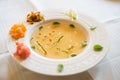 Clear tomato soup with chopped vegetables Royalty Free Stock Photo