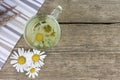 Clear transparent cup of camomile tea on vintage wooden background with dried herbs, daisy flowers and copy space. Royalty Free Stock Photo