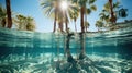 clear transparent palm tree Royalty Free Stock Photo
