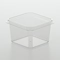 A clear, transparent plastic container with a rectangular shape and slightly rounded Royalty Free Stock Photo