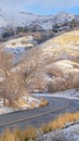 Clear Vertical Road and homes on sunlit snowy mountain in winter