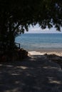 Clear vertical view of the calming waters at the beach from under a tree