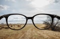 Clear vision through glasses Royalty Free Stock Photo