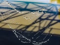 Clear Water Droplets cling to a Spider web after a gentle rain