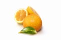 Water drops and fresh oranges and leaves Royalty Free Stock Photo