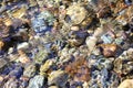 clear water flowing over rocks in a shallow stream of water Royalty Free Stock Photo