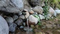 Clear water flows from a bamboo pipe among the rocks Royalty Free Stock Photo