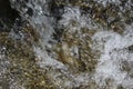 Clear water flows in a mountain stream Royalty Free Stock Photo