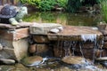 Clear water flows over the stones in the yard. Artificial pond among the trees. Lanshafta design Royalty Free Stock Photo