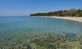 Clear water in Greece, Sithonia Royalty Free Stock Photo