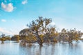 Clear water lake with reflections of trees during sunset time Royalty Free Stock Photo