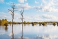 Clear water lake with reflections of trees during sunset time Royalty Free Stock Photo