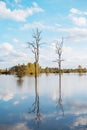 Clear water lake with reflections of trees during sunset time