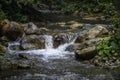 Clear water of a mountain stream running through the forest between stones of Carpathians Royalty Free Stock Photo