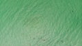 Clear water in the ocean. A blue, green, sea surface for background. View From above, flat lay. Aerial view, tropical beach, top v Royalty Free Stock Photo