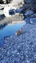 The clear water river