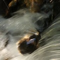 Clear water of a river flowing over a rock Royalty Free Stock Photo