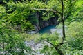 Clear water of a River and Forest Royalty Free Stock Photo