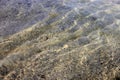 clear water and sandy bottom of a mountain river Royalty Free Stock Photo