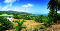 Barbados ocean view property and skyline palm trees