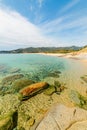Clear water in Solanas beach Royalty Free Stock Photo