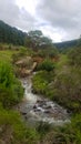 Clear water stream