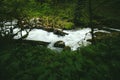 Clear Water Stream river in forest Landscape Royalty Free Stock Photo