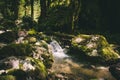 Clear Water Stream river in forest Landscape Royalty Free Stock Photo