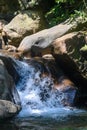 Clear water from a waterfall, running through many stones, through plants, creating many small waterfalls in its path Royalty Free Stock Photo