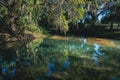 Clear waters of Gemini Springs, Central Florida