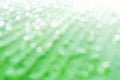 Clear white circle bokeh blur abstract background from  photo of water drop on banana leaf Royalty Free Stock Photo