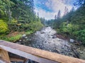 Clearcut area in the forest. A dense green forest and a path. Beautiful scenery with wooden bridge over mountain creek. River Royalty Free Stock Photo