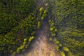 Clearcut of Douglas fir trees in Oregon Pacific Northwest, aerial Royalty Free Stock Photo