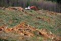 Clearcut logging in the Pacific Northwest Royalty Free Stock Photo