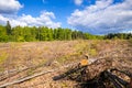 cleared forest outdoor scenery south Germany