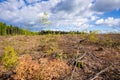 cleared forest outdoor scenery south Germany Royalty Free Stock Photo