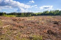 cleared forest outdoor scenery south Germany