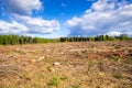 cleared forest outdoor scenery south Germany Royalty Free Stock Photo