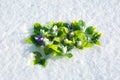 A clearing of the first spring snowdrops made of handmade soap