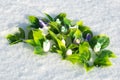 A clearing first spring snowdrops made of handmade soap