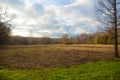 A clearing in the forest in Izmailovsky Park, Moscow, Russia. Royalty Free Stock Photo