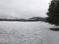 Clearing at Maclay Flats in late winter with Aspen grove Royalty Free Stock Photo