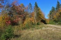 A clearing on the side of the Blues Mills Mountain road, a dirt track in the hills of rural Cape Breton in Fall Royalty Free Stock Photo